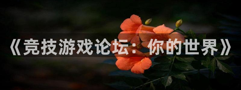 奇亿娱乐是什么：《竞技游戏论坛：你的世界》