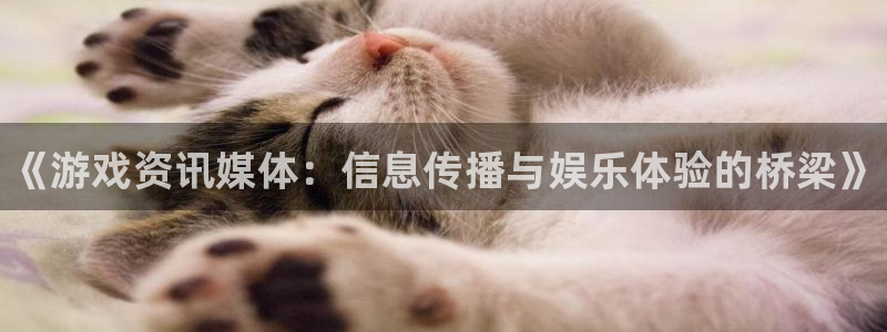 奇亿娱乐网址官网：《游戏资讯媒体：信息传播与娱乐体验的桥梁》