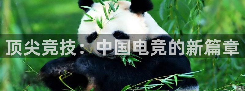 奇亿娱乐测速