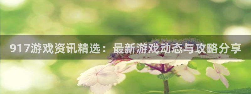 奇亿娱乐4招商：917游戏资讯精选：最新游戏动态与攻略分享