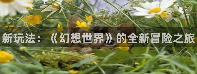 奇亿娱乐网页登录入口下载：新玩法：《幻想世界》的全新冒险之旅