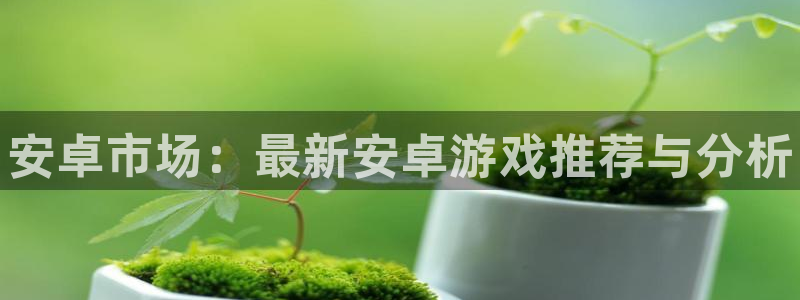 奇亿娱乐Ii：安卓市场：最新安卓游戏推荐与分析