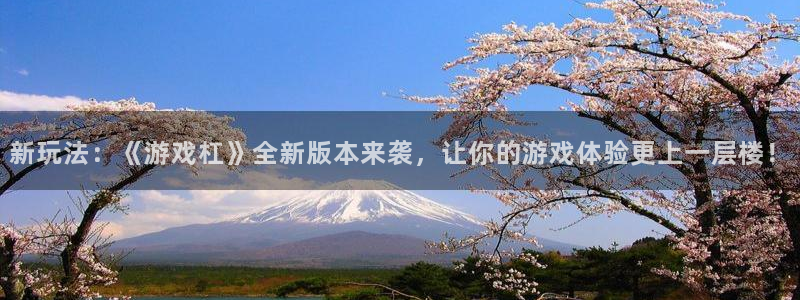 奇亿娱乐集团：新玩法：《游戏杠》全新版本来袭，让你的游戏体验