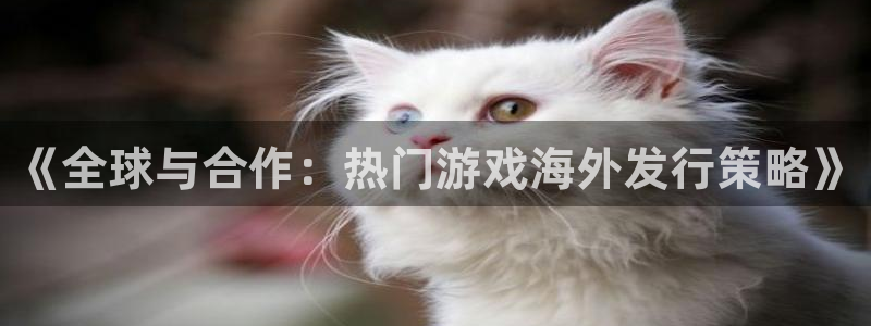 奇亿娱乐平台注册开户：《全球与合作：热门游戏海外发行策略》
