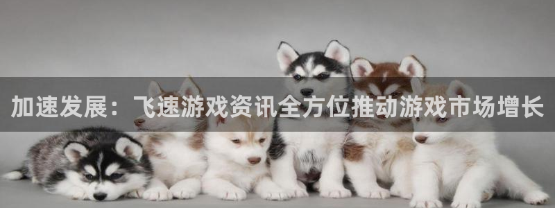 奇亿娱乐测速：加速发展：飞速游戏资讯全方位推动游戏市场增长