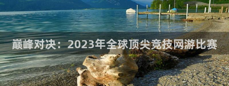 奇亿娱乐娱乐：巅峰对决：2023年全球顶尖竞技网游比赛