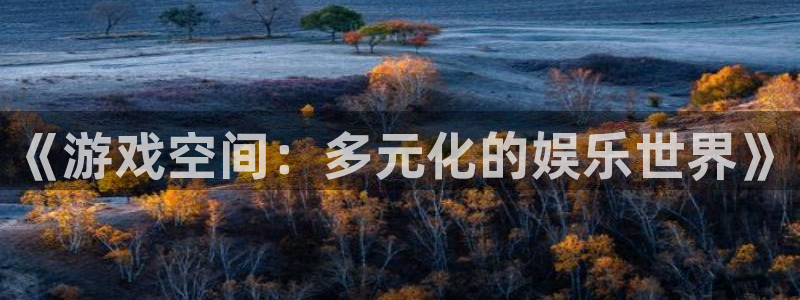 奇亿娱乐登录地址：《游戏空间：多元化的娱乐世界》