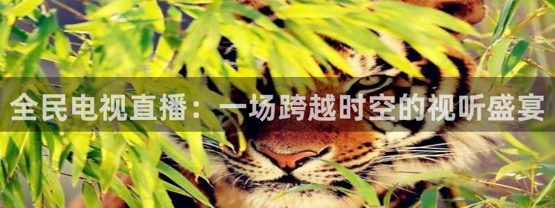 火凤免费观看体育直播：全民电视直播：一场跨越时空的视听盛宴
