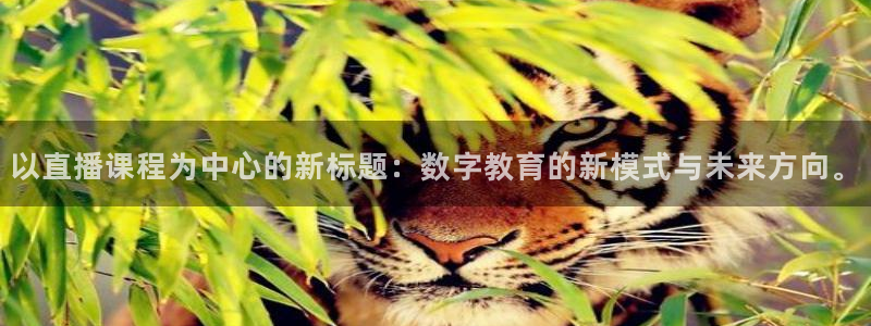 火凤足球直播在线观看：以直播课程为中心的新标题：数字教育的新模式与未来方向。