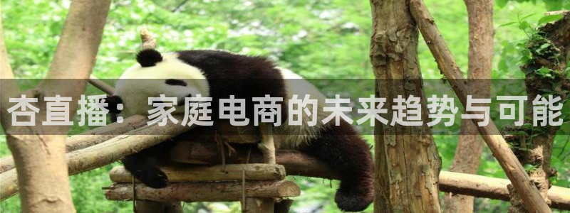 火凤体育直播高清入口：杏直播：家庭电商的未来趋势与可能