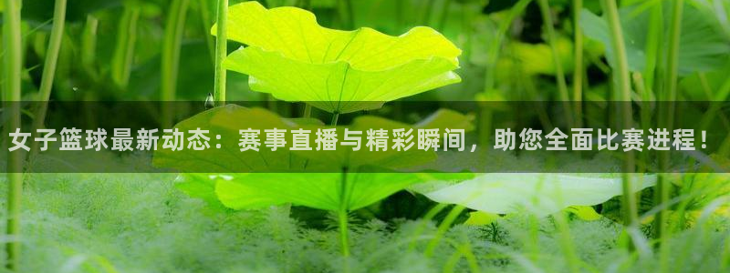 火凤体育直播在线观看高清：女子篮球最新动态：赛事直播与精彩瞬间，助您全面比赛进程！
