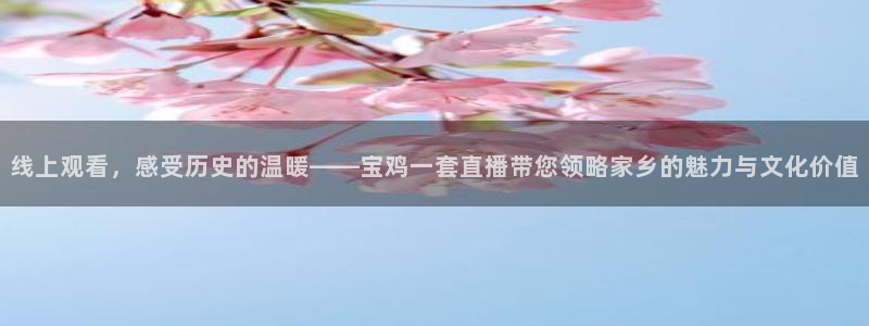 火凤足球直播在线观看：线上观看，感受历史的温暖——宝鸡一套直播带您领略家乡的魅力与文化价值