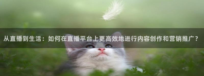 火凤斗球直播体育：从直播到生活：如何在直播平台上更高效地进行内容创作和营销推广？